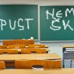 Skola raspust