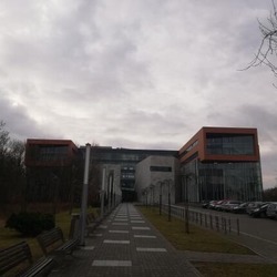 Fakultet