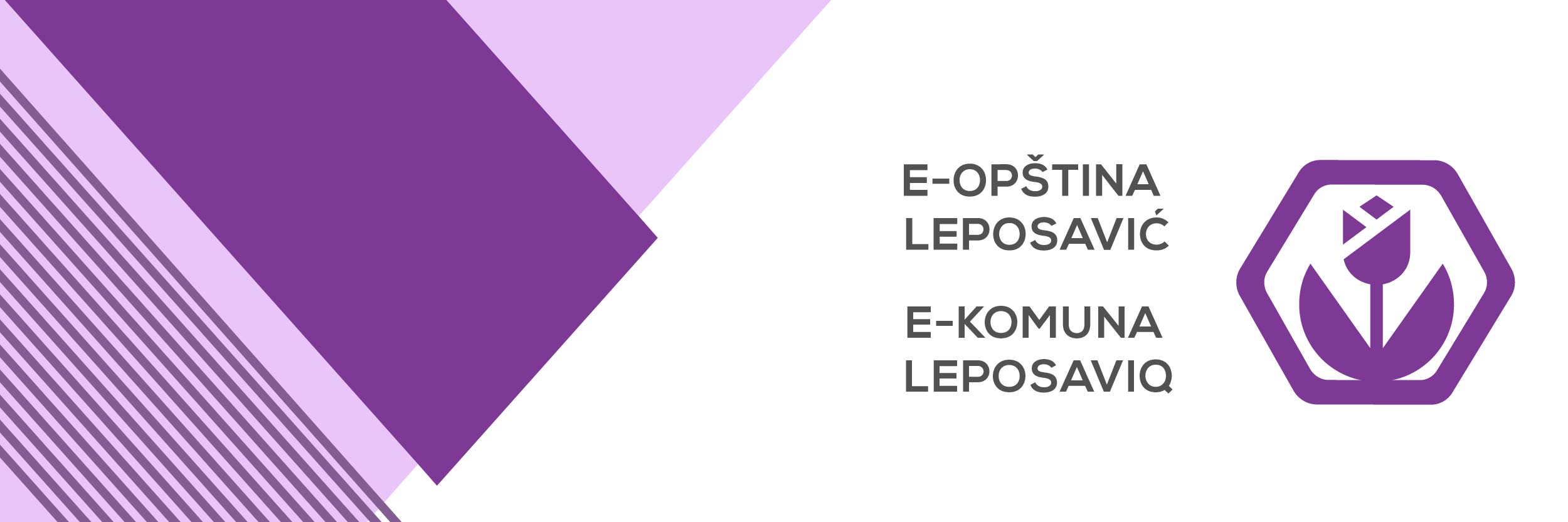 E leposavic